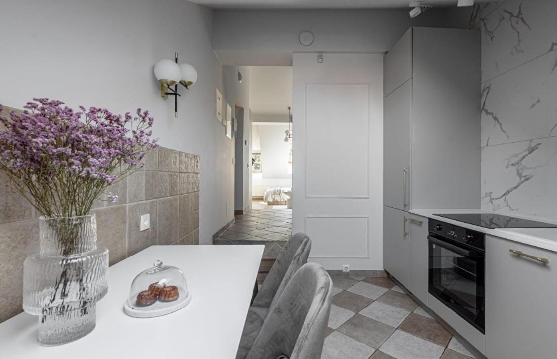 Traku Street Apartment In วิลนีอุส ภายนอก รูปภาพ